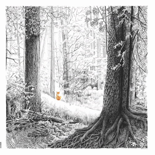 Doctor Doom : A Shadow Called Danger